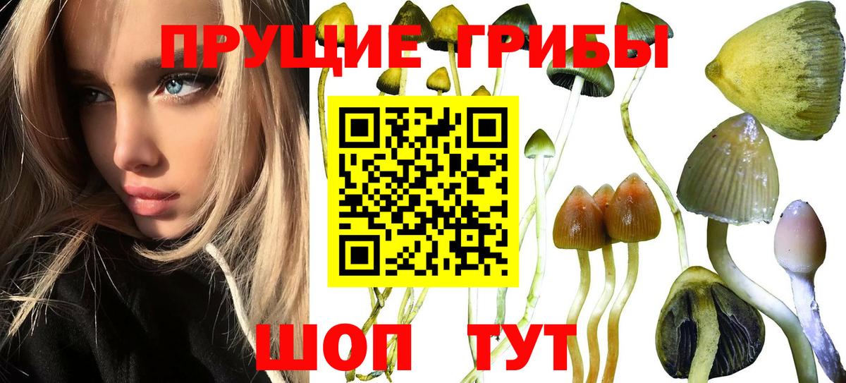 Галлюциногенные грибы MAGIC MUSHROOMS Нерюнгри