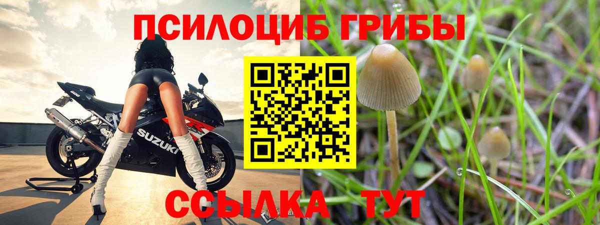Нерюнгри  Галлюциногенные грибы мухоморы  Вход с VPN 