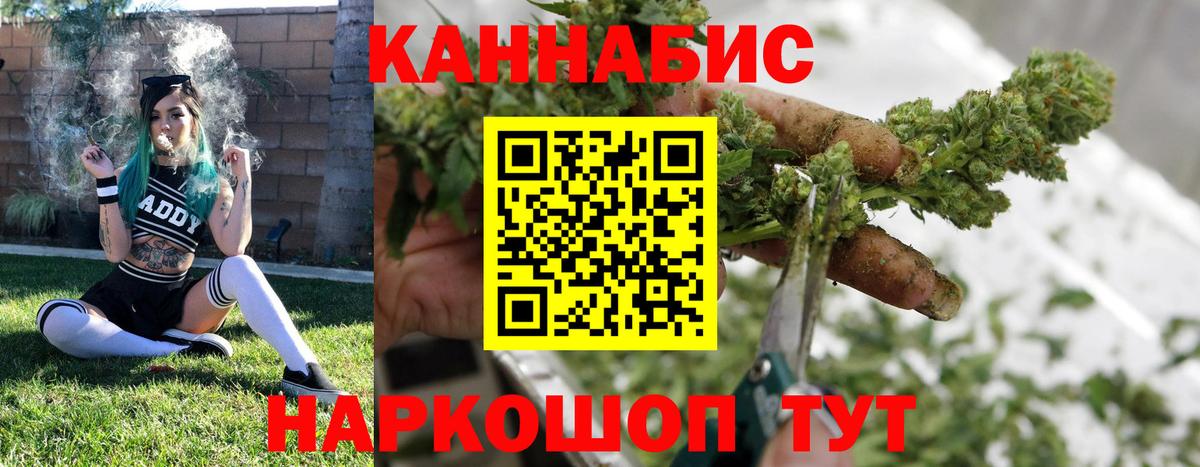 Бошки марихуана планчик  Шишки марихуана THC 21%  МАРИХУАНА Amnesia  Вход с VPN  Конопля Bruce Banner  Нерюнгри 